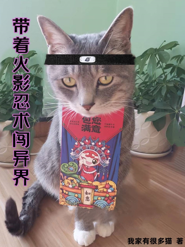 主角李希米多小说完整版在线阅读，带着火影忍术闯异界免费看