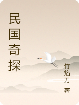 民国奇探（王振华岳琴）在线免费阅读