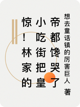 惊！林家的小吃街把皇帝都馋哭了全文阅读，林清在线免费看
