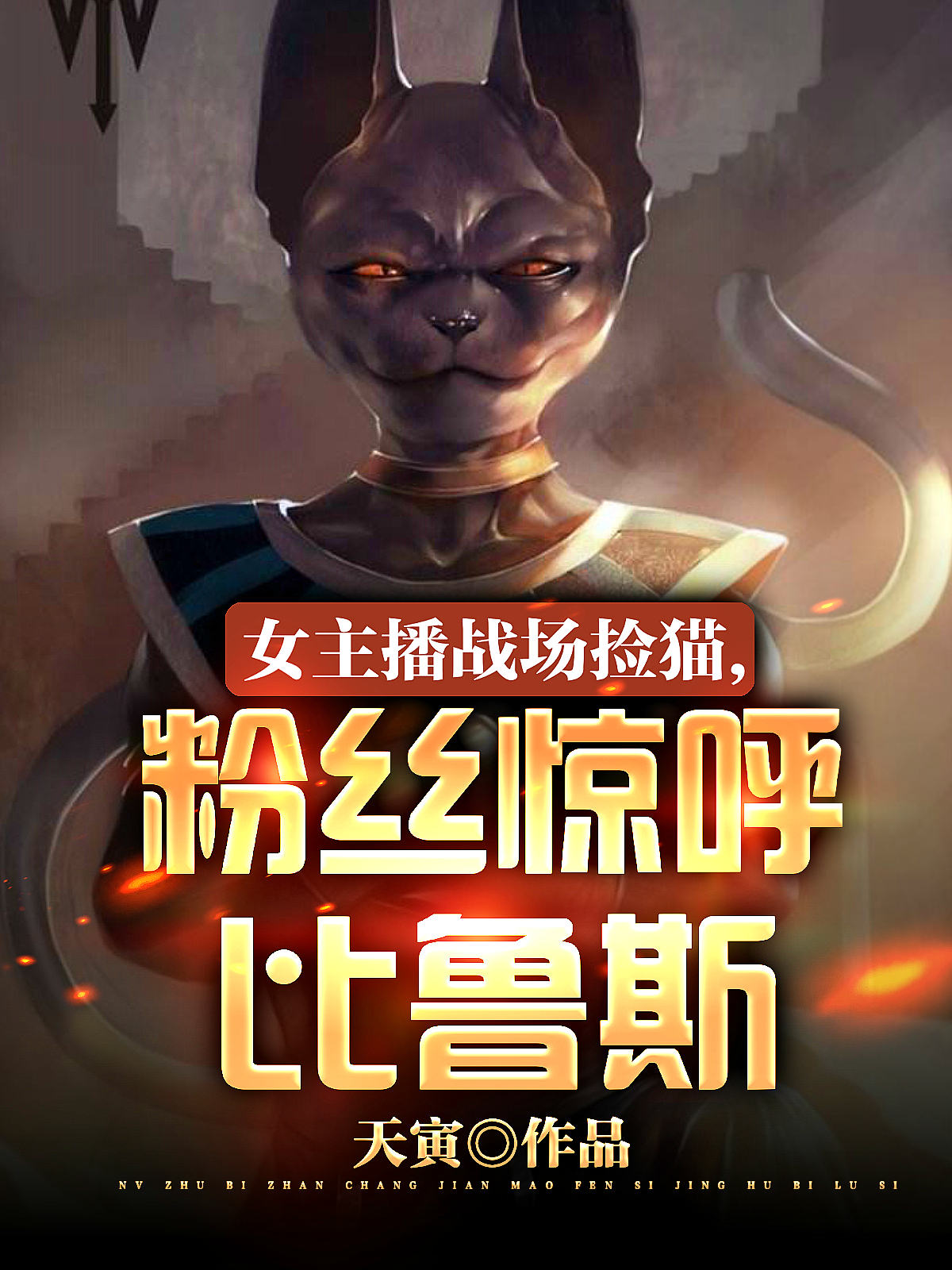 女主播战场捡猫，粉丝惊呼比鲁斯免费阅读