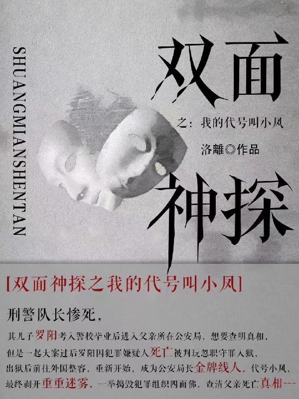 《双面神探之我的代号叫小凤》小说主角罗阳全文章节免费在线阅读-瑞奇文学