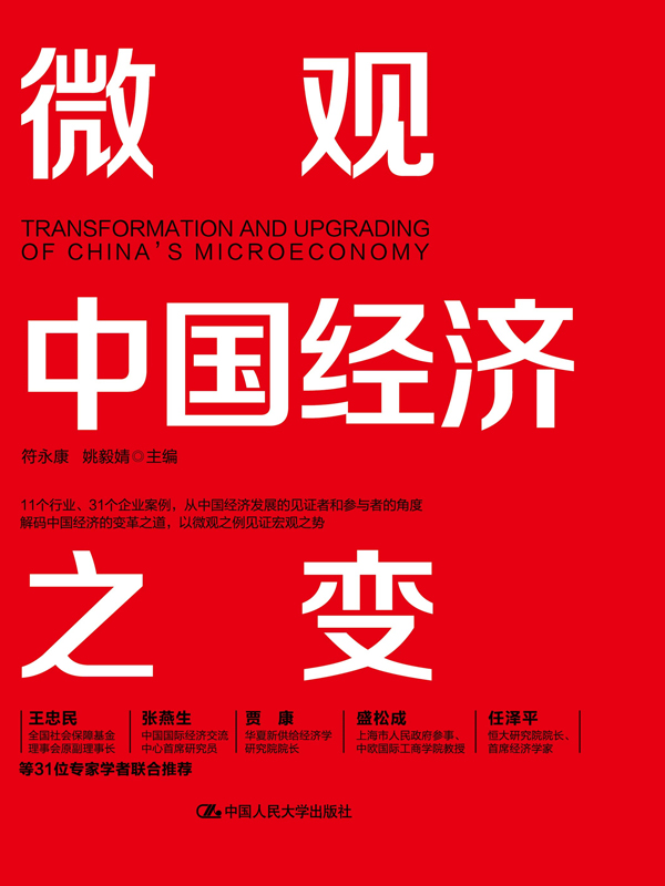 微观中国经济之变