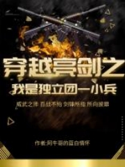 穿越亮剑之我是独立团一小兵小说完整版全文免费阅读