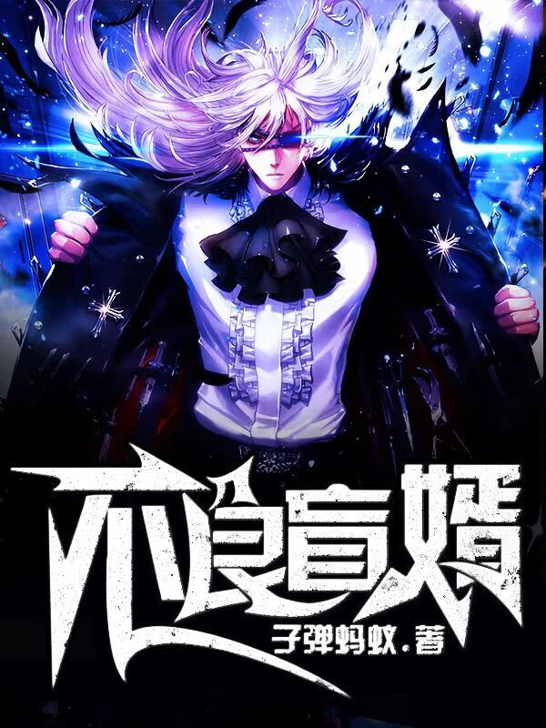 完整版《不良盲婿》全章节阅读