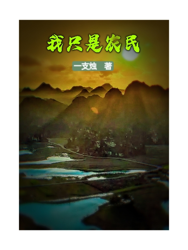 《我只是农民》小说章节列表免费试读，王小乐小说在线阅读