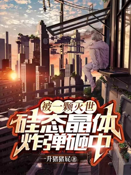 完整版《被一颗灭世硅态晶体炸弹砸中》章节目录在线阅读-优文网