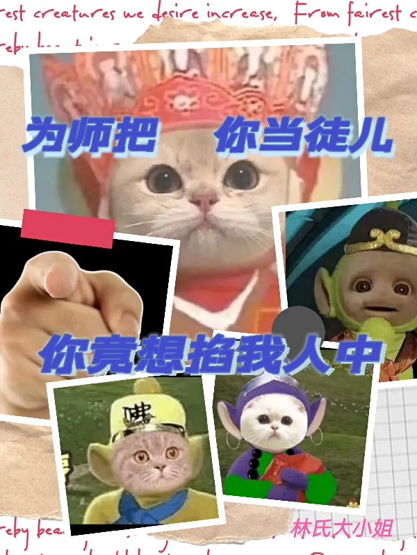 为师把你当徒儿，你竟想掐我人中唐僧孙悟空小说在线全文免费阅读