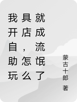 我開自助玩具店，怎麼就成流氓了