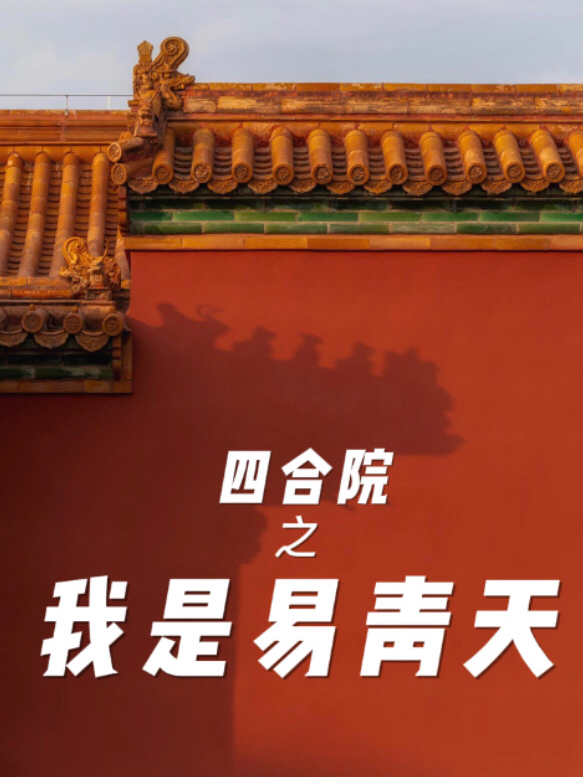 四合院之我是易青天免费阅读