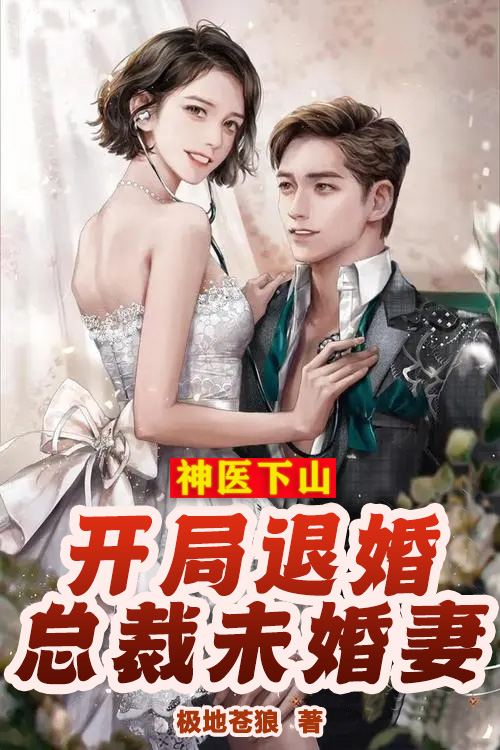 小说《神医下山，开局退婚总裁未婚妻》在线全文阅读-优文网