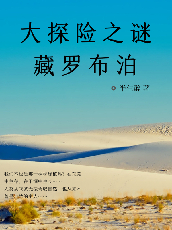 已完结小说《大探险之谜藏罗布泊》在线全文阅读