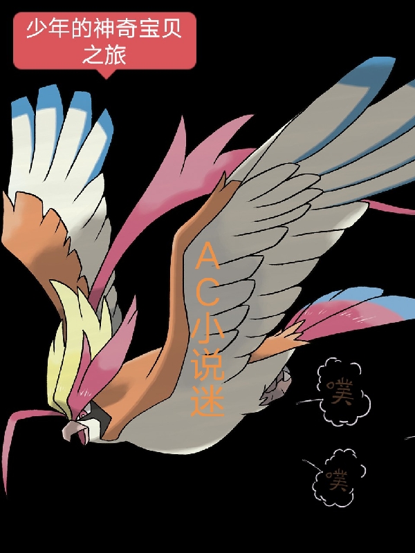 少年的神奇宝贝之旅小说，少年的神奇宝贝之旅小枫蓝颜