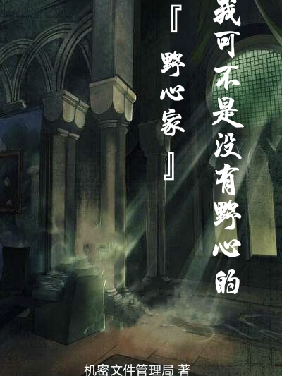 我可不是没有野心的野心家希里.维特，我可不是没有野心的野心家全文在线阅读