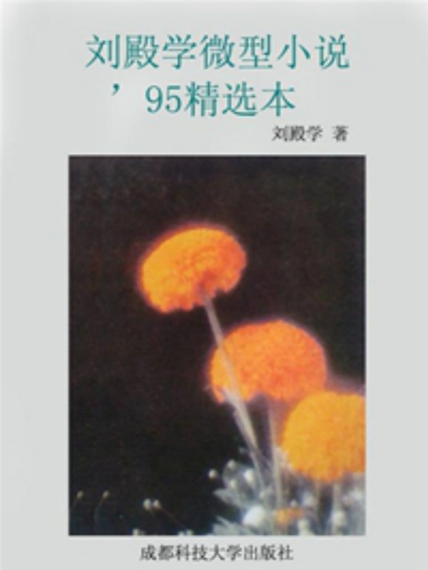 刘殿学微型小说'95精选本