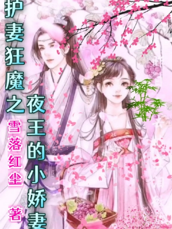 护妻狂魔之夜王的小娇妻免费阅读