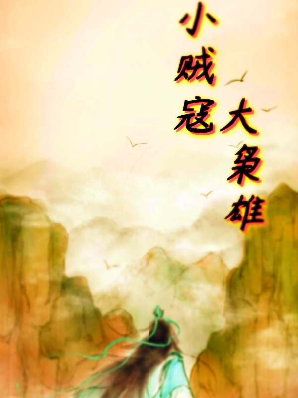 小说《小贼寇大枭雄》全文免费阅读