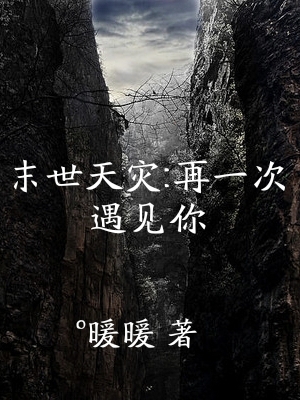 《末世天灾：再一次遇见你》小说主角蓝岚全文章节免费在线阅读