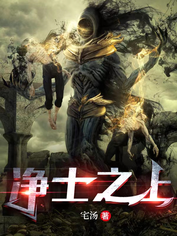 净土之上最新章节，净土之上免费阅读-美文小说