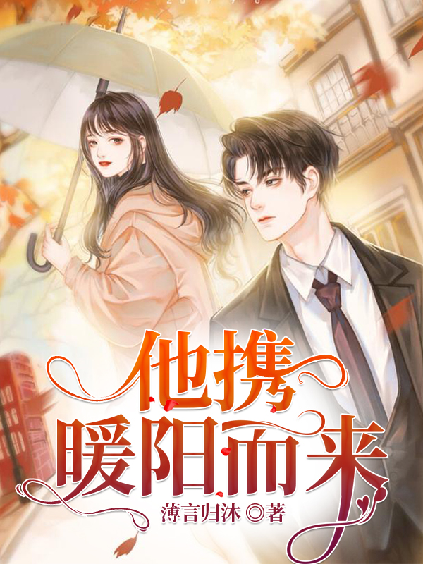 已完结小说《他携暖阳而来》全章节在线阅读