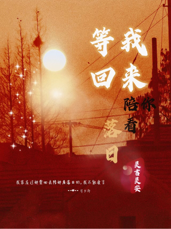 小说江安诺贺书郡等我回来陪你看落日在线免费阅读