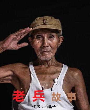 老兵故事免费阅读
