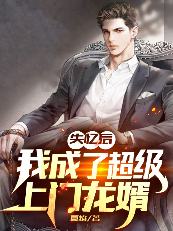 失忆后，我成了超级上门龙婿免费阅读