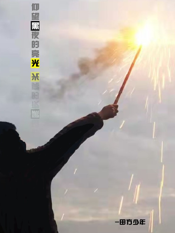仰望黑夜的亮光小说免费资源，仰望黑夜的亮光在线阅读