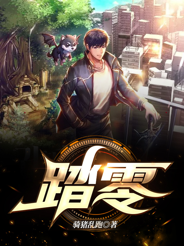 林凡小说《踏零》在线阅读-瑞奇文学