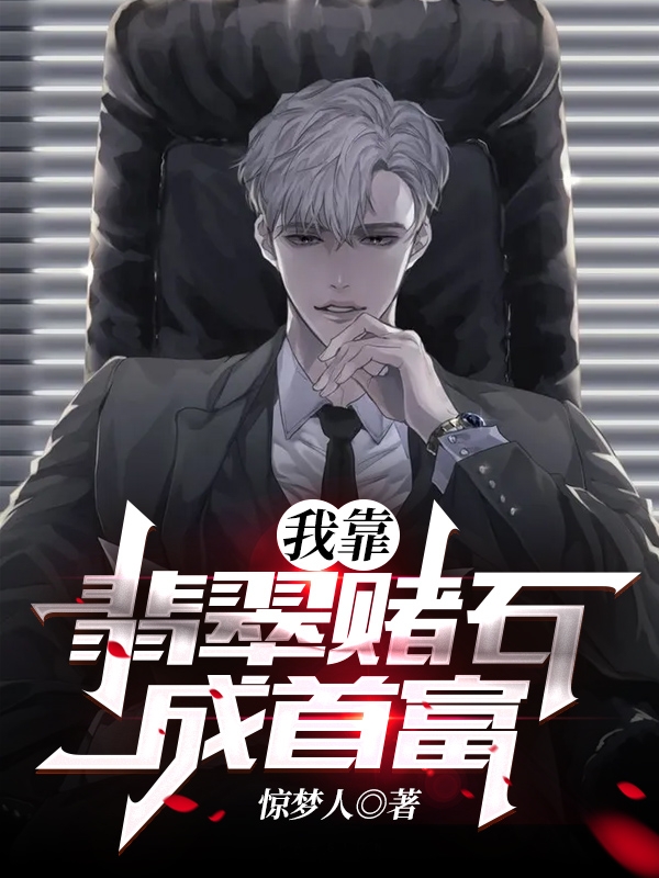 我靠翡翠赌石成首富小说，我靠翡翠赌石成首富王梦生