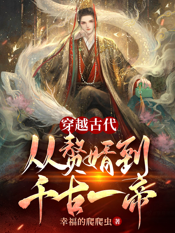 叶城苏沐岚小说穿越古代：从赘婿到千古一帝无广告阅读