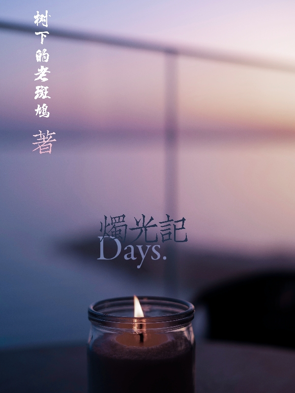 烛光记免费阅读，烛光记全文在线阅读-美文小说