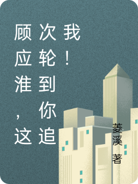 《顾应淮，这次轮到你追我！》全集免费在线阅读（陆宁顾应淮）