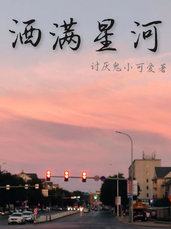 洒满星河最新章节，洒满星河全文在线阅读-有文学