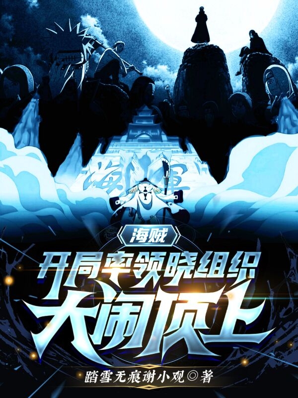 海贼：开局率领晓组织，大闹顶上免费阅读