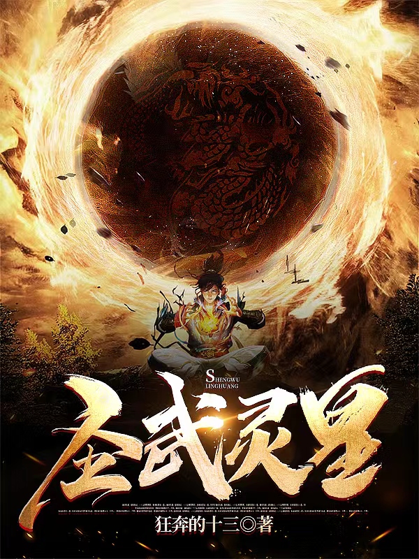 完整版《圣武灵皇》全章节阅读