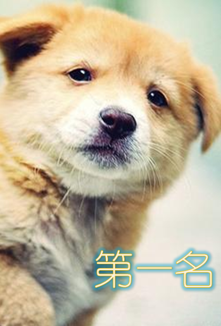 第一名温荟茹管一名，第一名在线无弹窗阅读