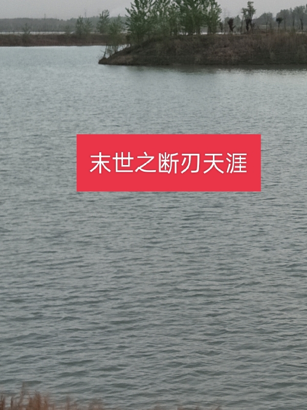 主角叫陈半医风玲珑的小说在哪阅读