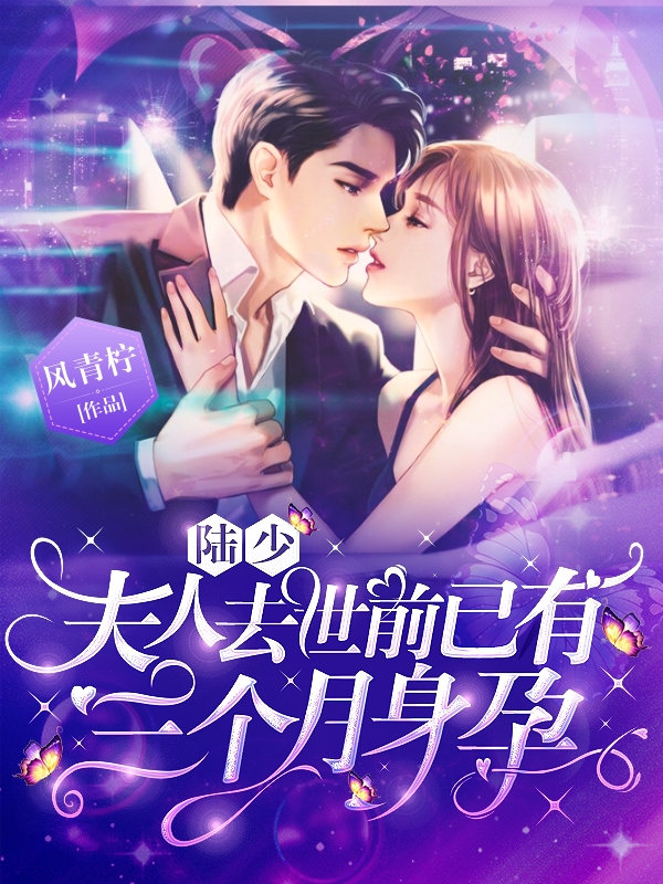 陆少，夫人去世前已有三个月身孕免费阅读
