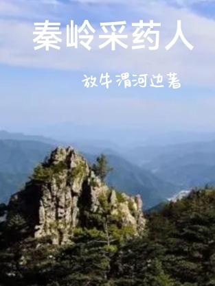 已完结小说《秦岭采药人》全章节在线阅读