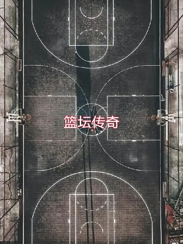 已完结小说《篮坛传奇》全文免费阅读