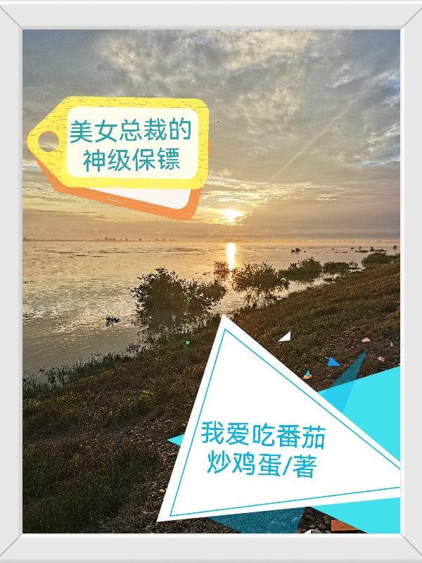 秦锋美女总裁的神级保镖小说在线免费阅读