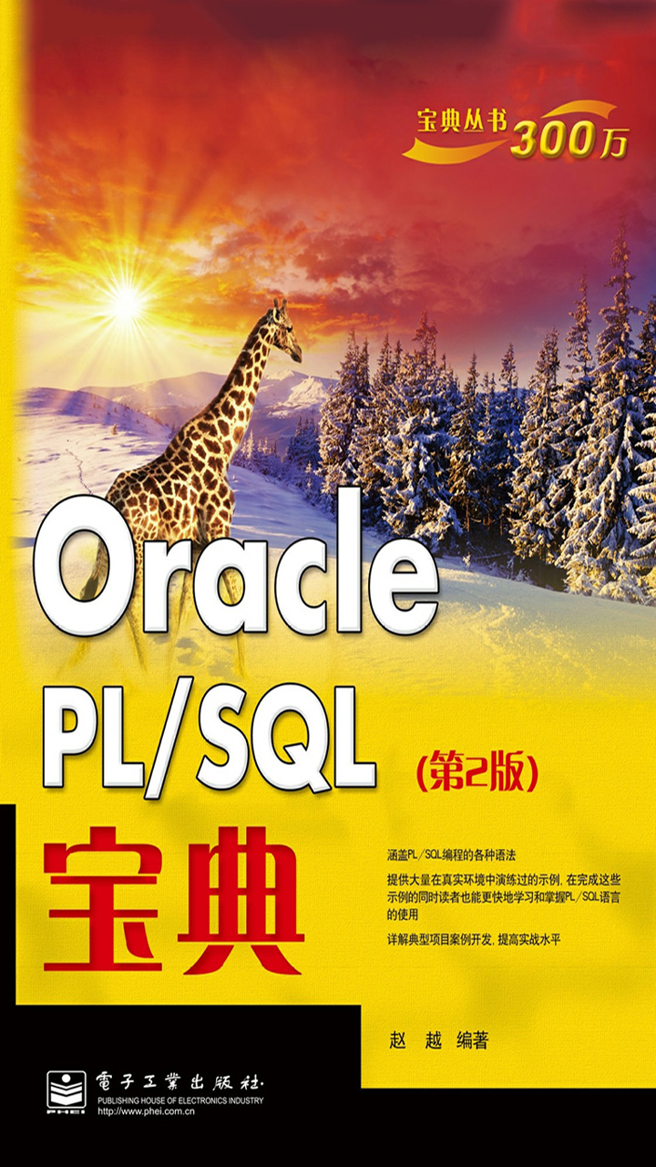 Oracle PLSQL宝典（第2版）