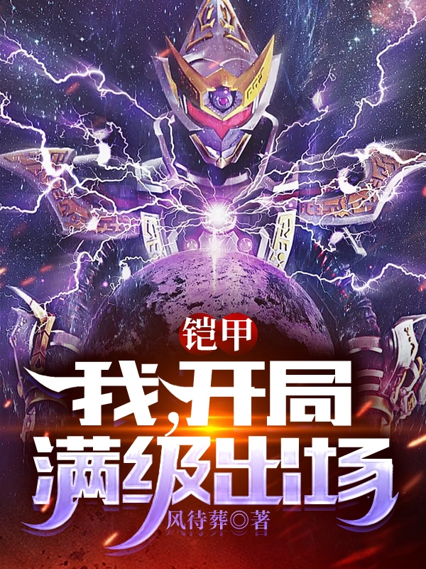 已完结小说《铠甲：我，开局满级出场》在线全文阅读