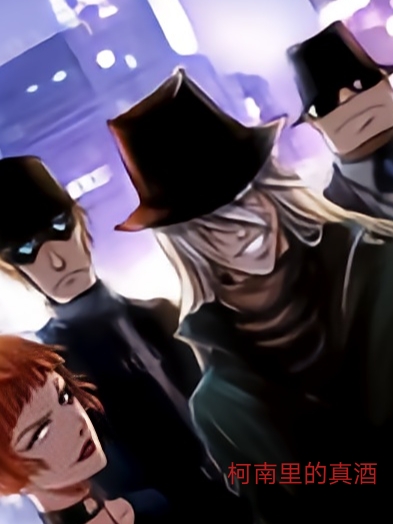 已完结小说《柯南里的真酒》全文免费阅读