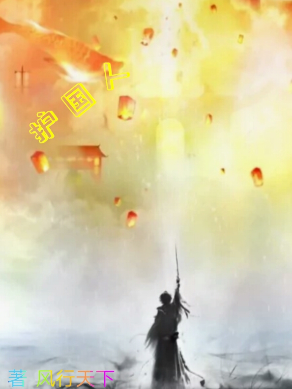 小说《护国人》全文免费阅读