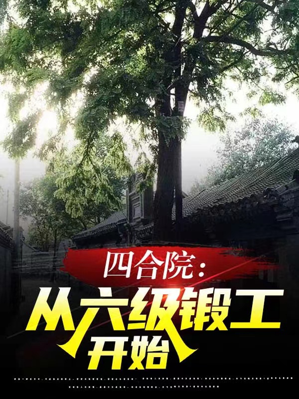 《四合院：从六级锻工开始》全集免费在线阅读（楚天放）