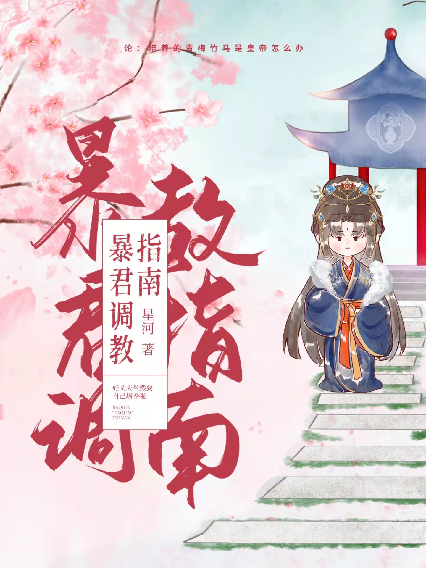 舒望晴宇文云策小说叫什么（暴君调教指南免费阅读）