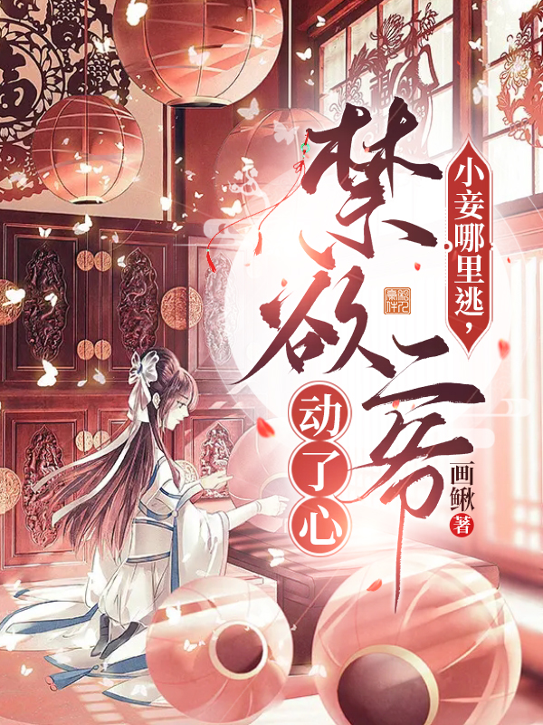 主角叶苏安齐瑾辰小说小妾哪里逃，禁欲二爷动了心免费阅读