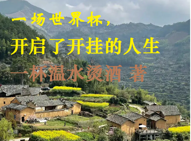 一场世界杯，开启了开挂的人生最新章节，一场世界杯，开启了开挂的人生免费阅读-够力荐小说推荐网