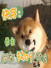 快穿：男主你在狗叫什么季青柚闫淮免费阅读